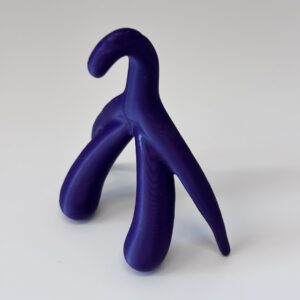 3D Printed Clitoris Anatomy Model