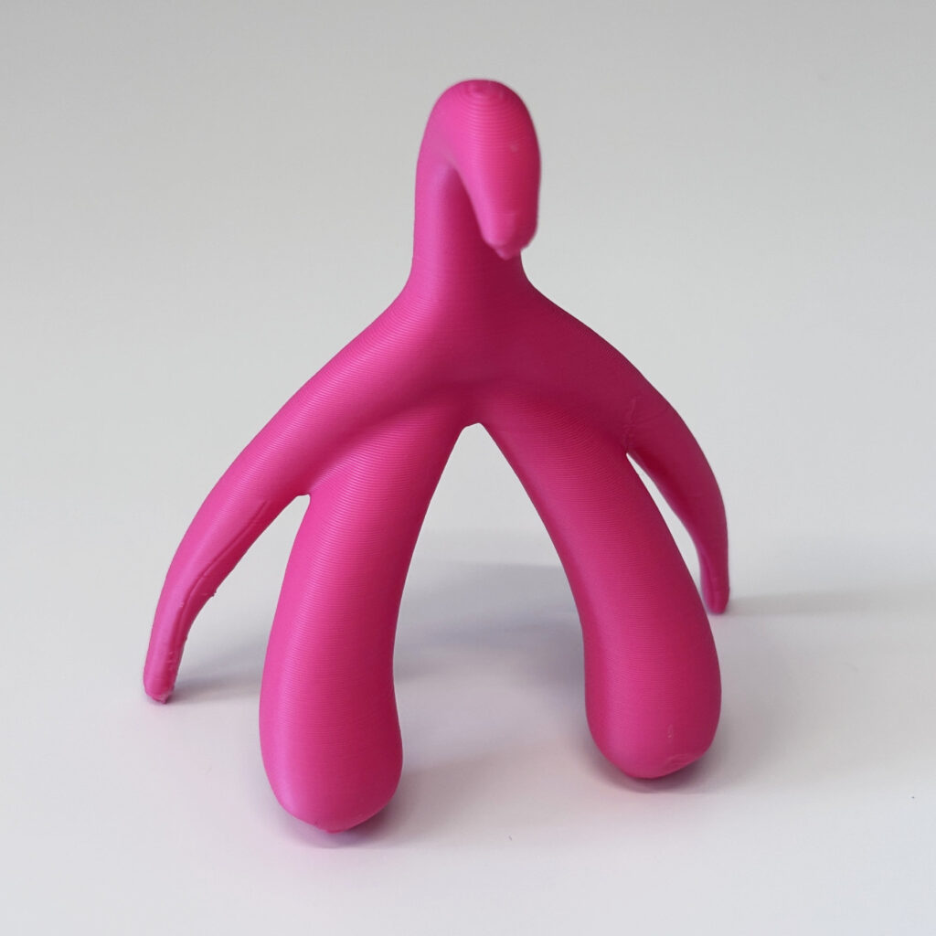 3D Printed Clitoris Anatomy Model