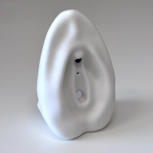 Vulva Anatomy Model with Clitoris Insert